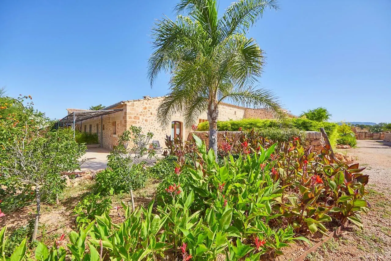 Bennoc Petit Hotel - Only Adults Llucmajor  4*, Llucmajor (Mallorca) España